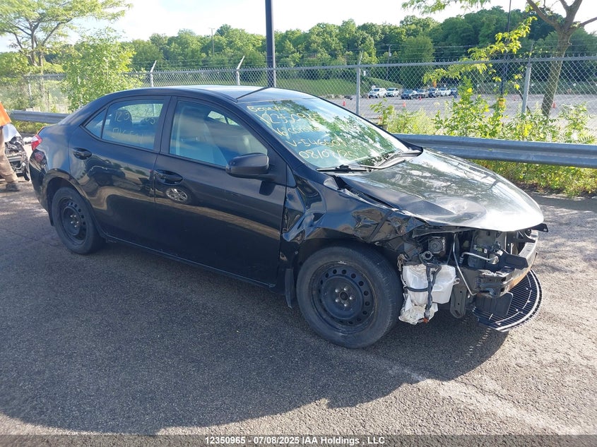 2T1BURHE8GC546501 2016 Toyota Corolla Le auction photo 1