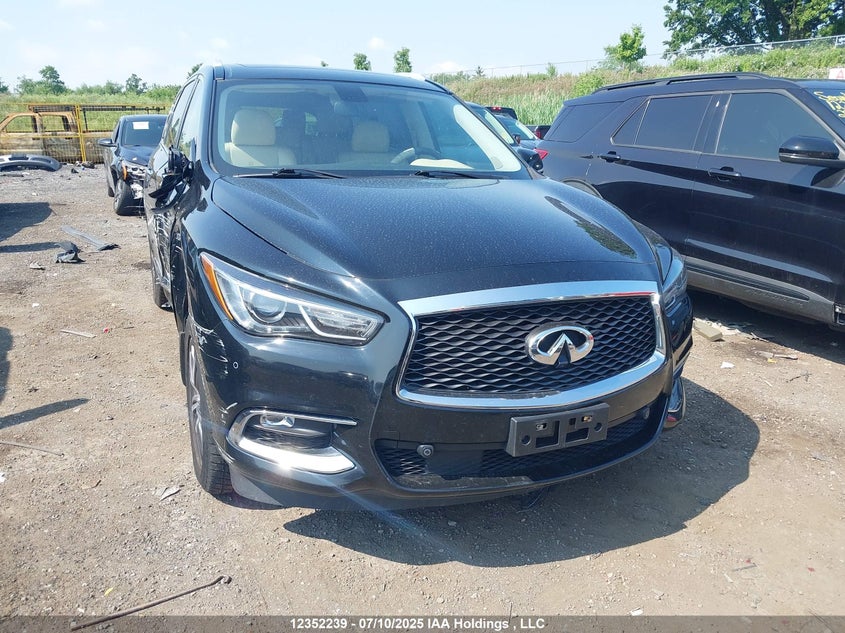 5N1DL0MM2HC507896 2017 Infiniti Qx60 auction photo 1