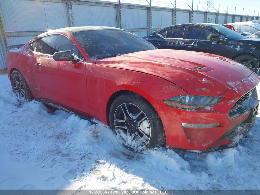 1FA6P8TH3K5102779 2019 Ford Mustang auction photo 1