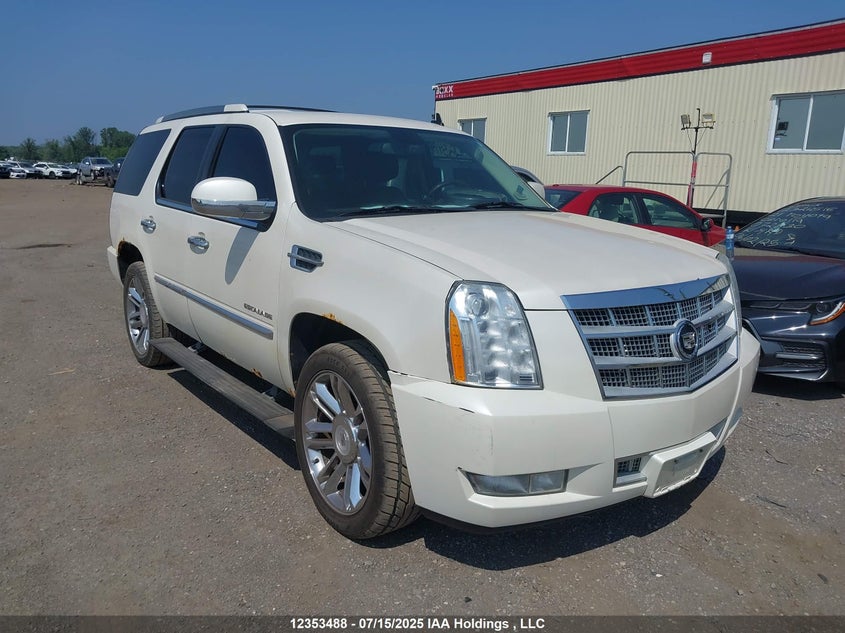 1GYUKDEF9AR211690 2010 Cadillac Escalade auction photo 1