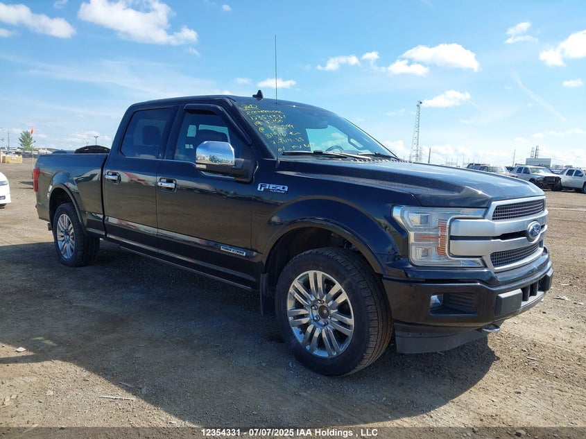 1FTFW1E14KFB92894 2019 Ford F-150 Platinum auction photo 1