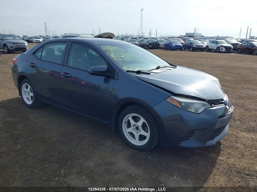 2T1BURHE0GC666230 2016 Toyota Corolla Le auction photo 1