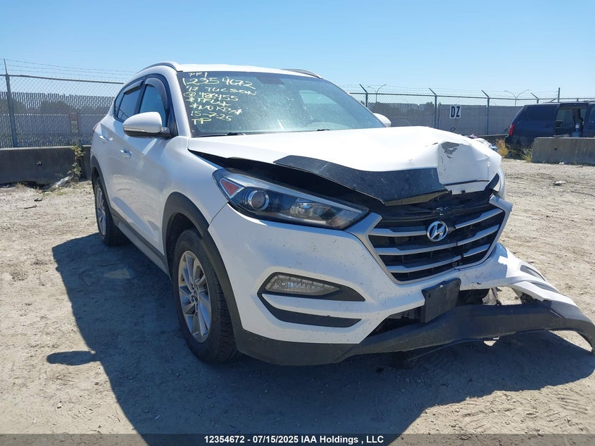 2017 Hyundai Tucson Premium VIN: KM8J3CA44HU486455 Lot: 12354672