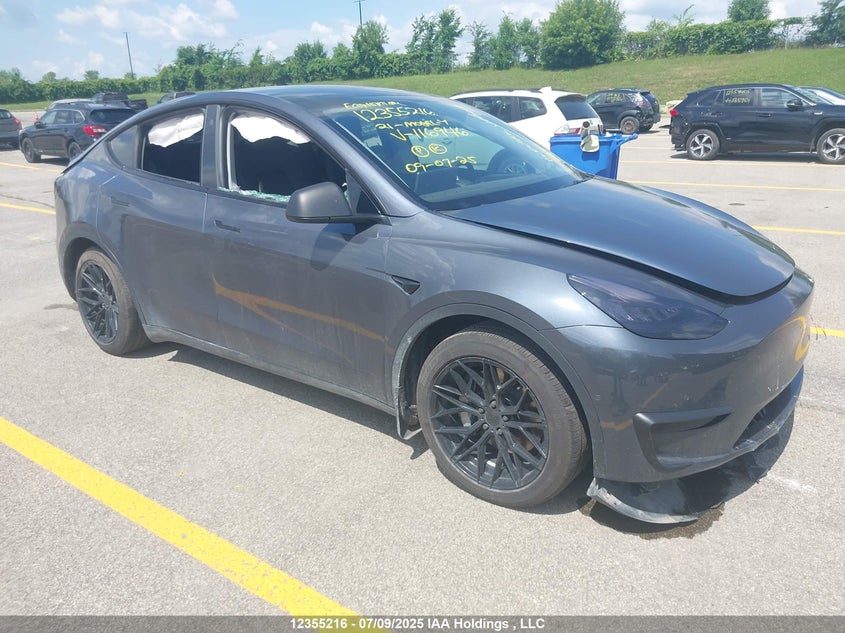 5YJYGDED1MF116946 2021 Tesla Model Y Standard Range Rear-Wheel Drive auction photo 1