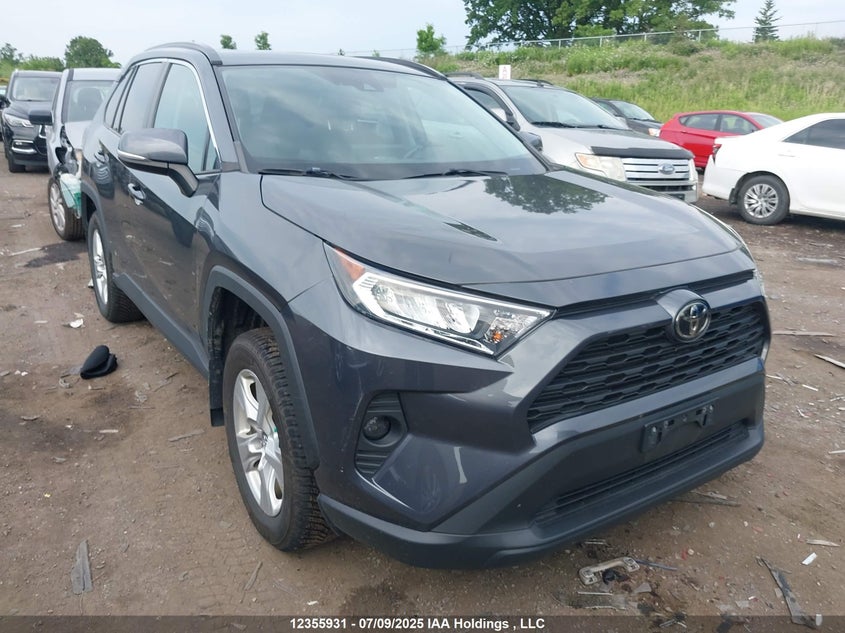 2T3W1RFV7LC059305 2020 Toyota Rav4 Xle auction photo 1
