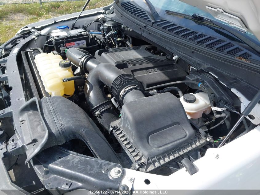 2019 Ford Expedition Platinum VIN: 1FMJU1MT1KEA18396 Lot: 12356122