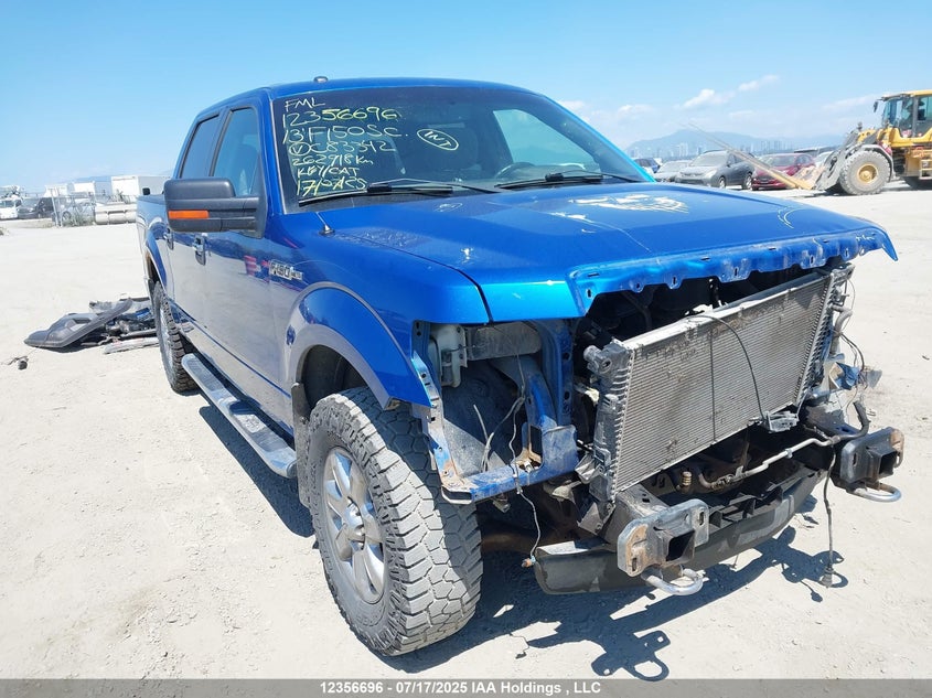 1FTFW1EF6DFC83342 2013 Ford F-150 Xlt auction photo 1