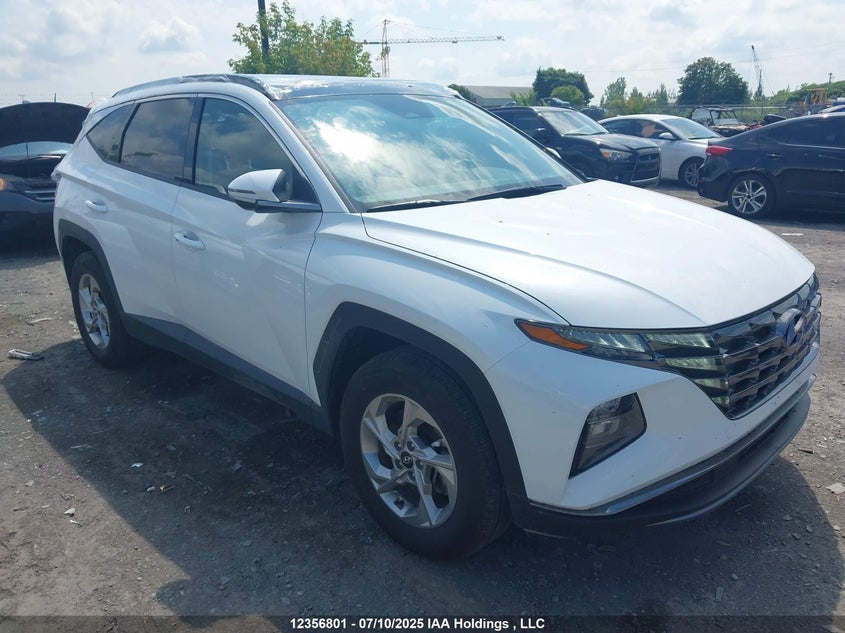 KM8JCCDE1RU319623 2024 Hyundai Tucson Trend Awd auction photo 1