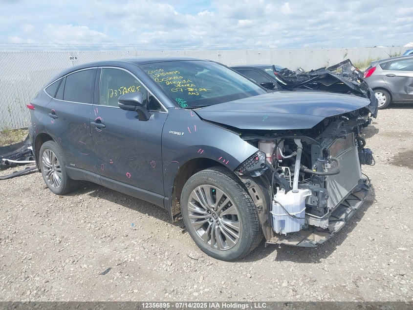 2021 Toyota Venza Limited VIN: JTEAAAAH5MJ024110 Lot: 12356895