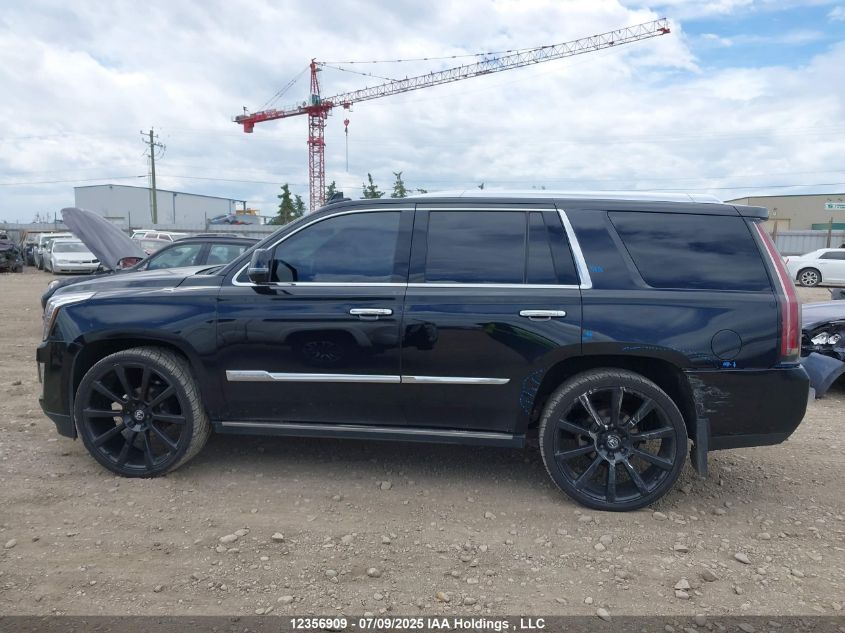 2015 Cadillac Escalade VIN: 1GYS4PKJ0FR571692 Lot: 12356909