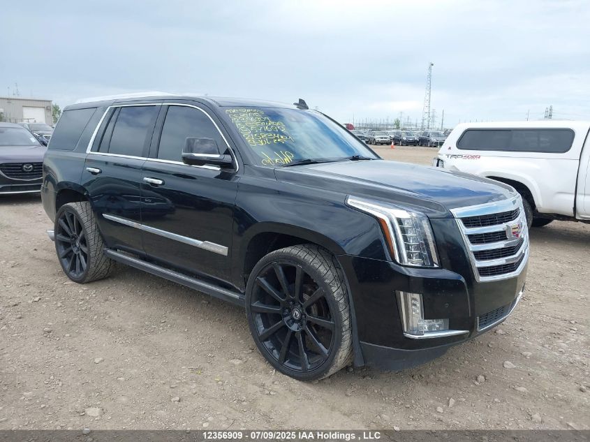 2015 Cadillac Escalade VIN: 1GYS4PKJ0FR571692 Lot: 12356909