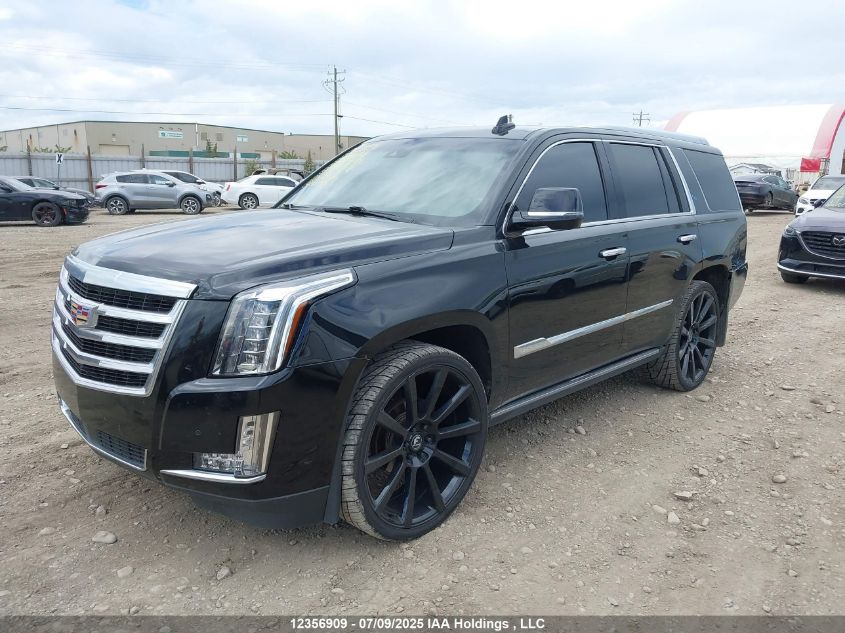 2015 Cadillac Escalade VIN: 1GYS4PKJ0FR571692 Lot: 12356909