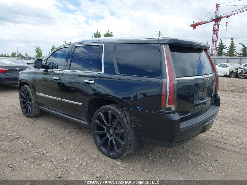 2015 Cadillac Escalade VIN: 1GYS4PKJ0FR571692 Lot: 12356909