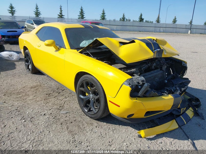 2017 Dodge Challenger Sxt VIN: 2C3CDZAG5HH600638 Lot: 12357209