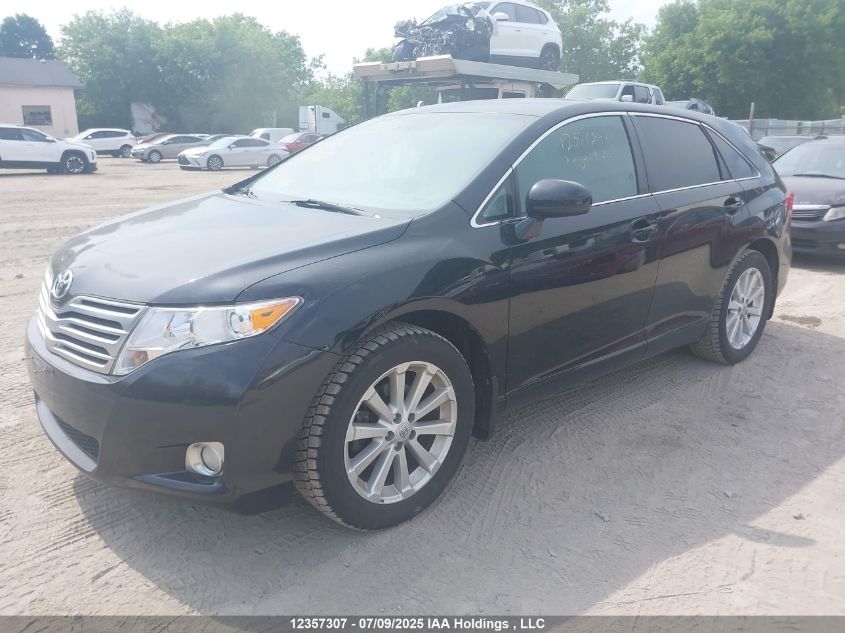 2010 Toyota Venza VIN: 4T3BA3BB9AU013610 Lot: 12357307