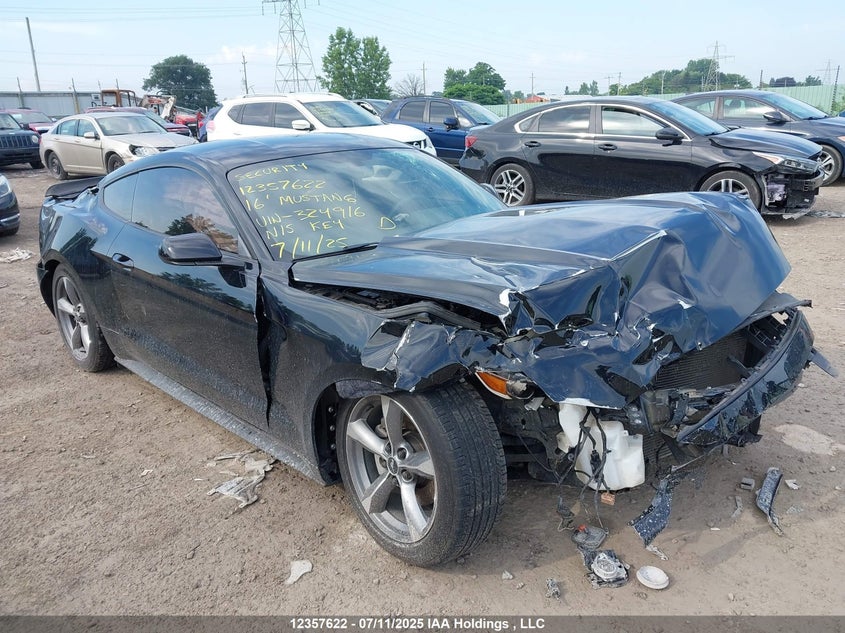 1FA6P8AM2G5324916 2016 Ford Mustang V6 auction photo 1