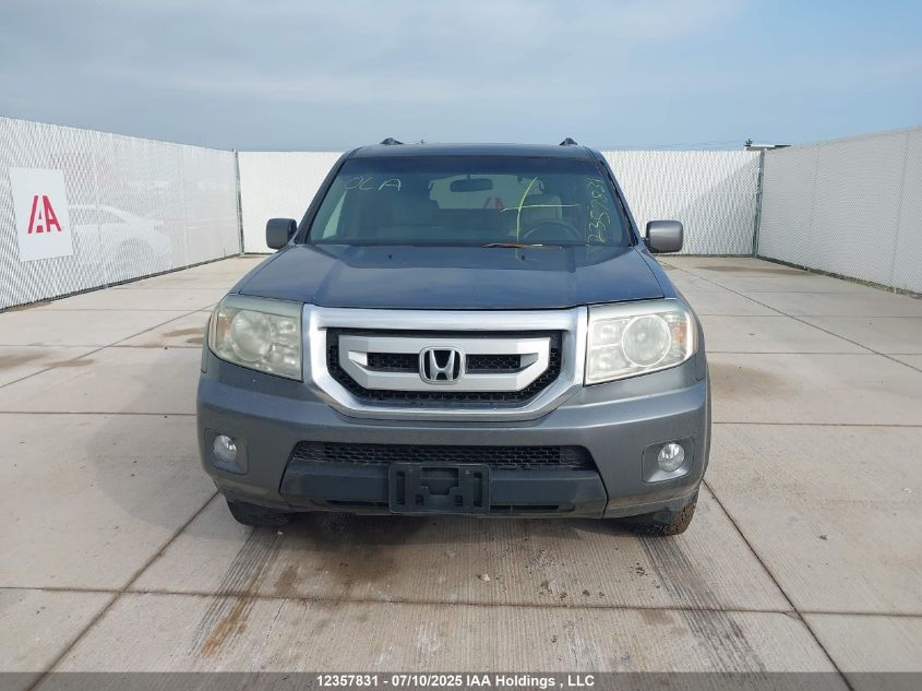 2010 Honda Pilot Ex VIN: 5FNYF4H42AB503760 Lot: 12357831