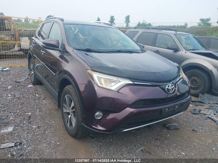 2T3WFREV9GW292822 2016 Toyota Rav4 Xle auction photo 1