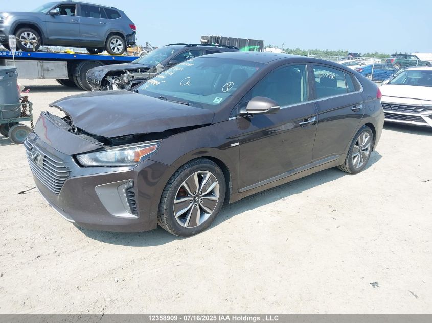 2019 Hyundai Ioniq Hybrid Luxury VIN: KMHC05LC2KU141708 Lot: 12358909