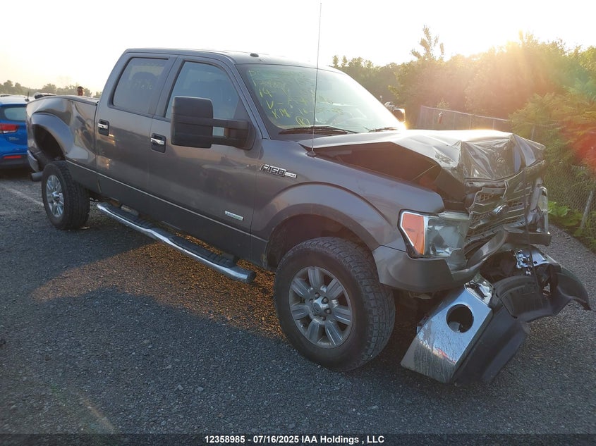 1FTFW1ET3EFA79296 2014 Ford F150 Supercrew auction photo 1