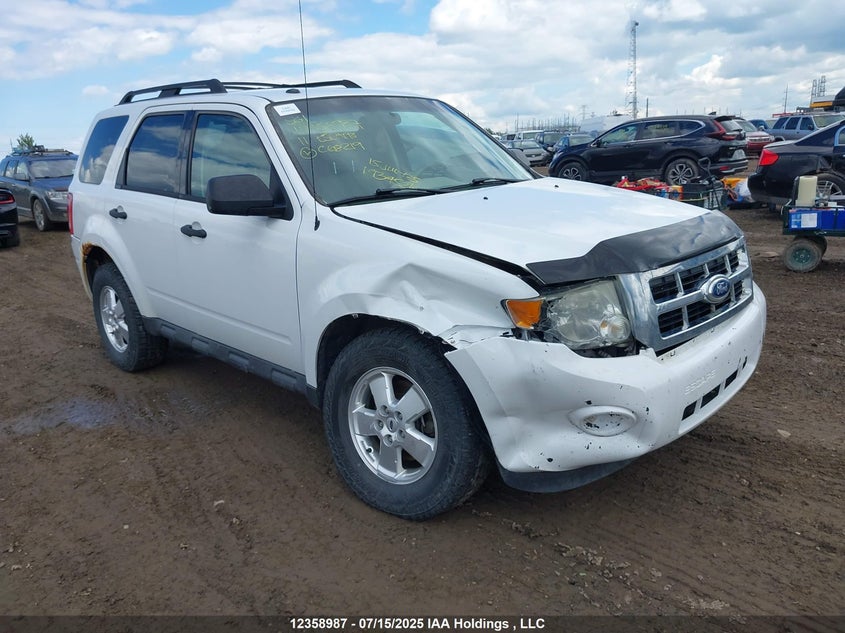1FMCU9D77BKC68219 2011 Ford Escape Xlt Automatic auction photo 1