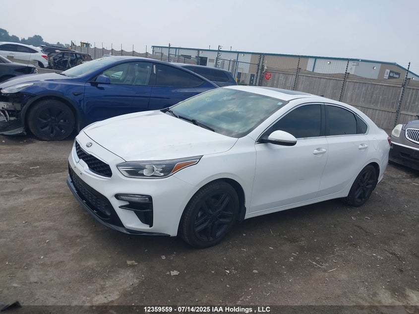 2020 Kia Forte Ex VIN: 3KPF54AD1LE173767 Lot: 12359559