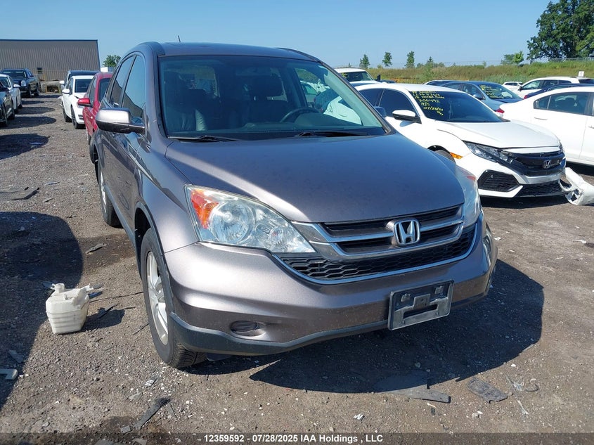 5J6RE4H7XBL817666 2011 Honda Cr-V Exl auction photo 1