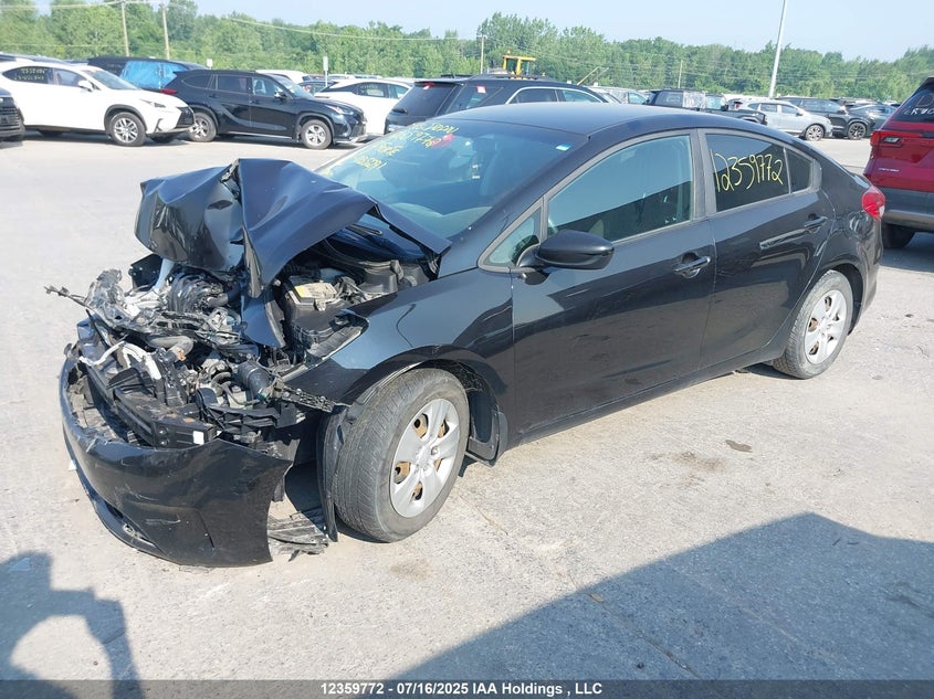 2017 Kia Forte Lx VIN: 3KPFK4A79HE035291 Lot: 12359772