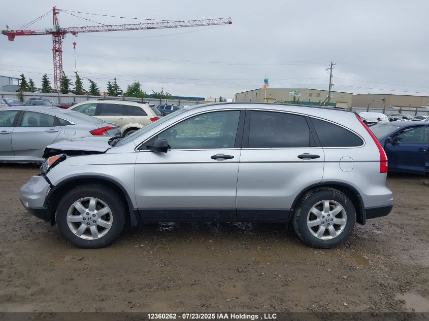 2010 Honda Cr-V Lx VIN: 5J6RE4H36AL815246 Lot: 12360262