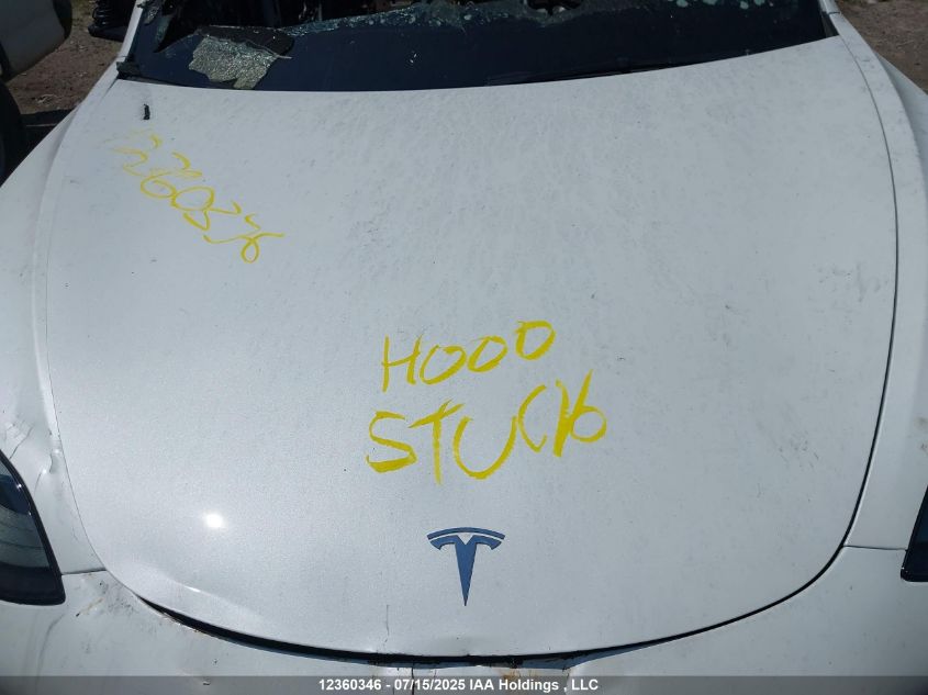 2023 Tesla Model 3 Rwd VIN: 5YJ3E1EA0PF396383 Lot: 12360346