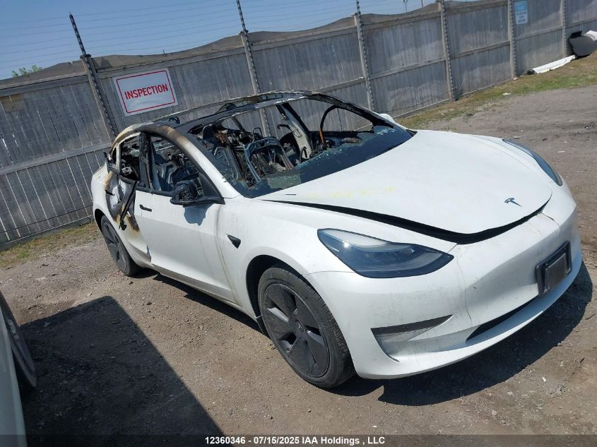2023 Tesla Model 3 Rwd VIN: 5YJ3E1EA0PF396383 Lot: 12360346