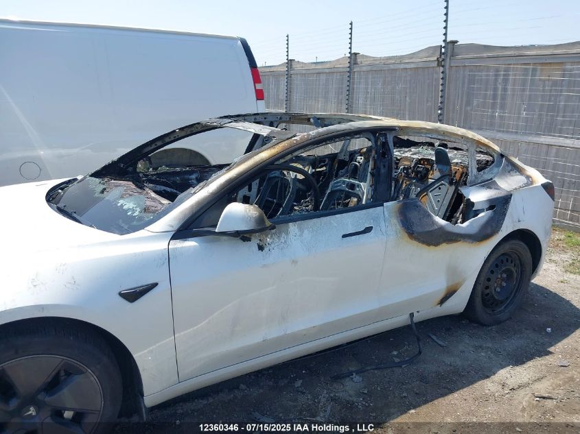 2023 Tesla Model 3 Rwd VIN: 5YJ3E1EA0PF396383 Lot: 12360346