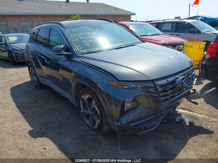 KM8JCCD14RU228570 2024 Hyundai Tucson Sel Convenience auction photo 1