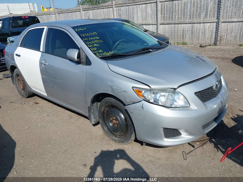 2009 Toyota Corolla VIN: 2T1BU40EX9C059916 Lot: 12361163