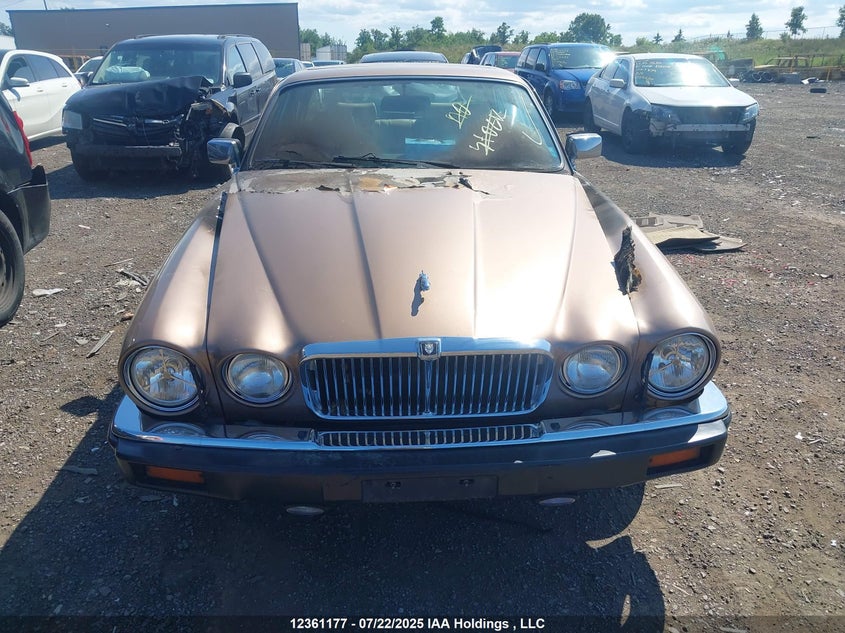 1987 Jaguar Xj12 VIN: SAJBN1044HC471776 Lot: 12361177