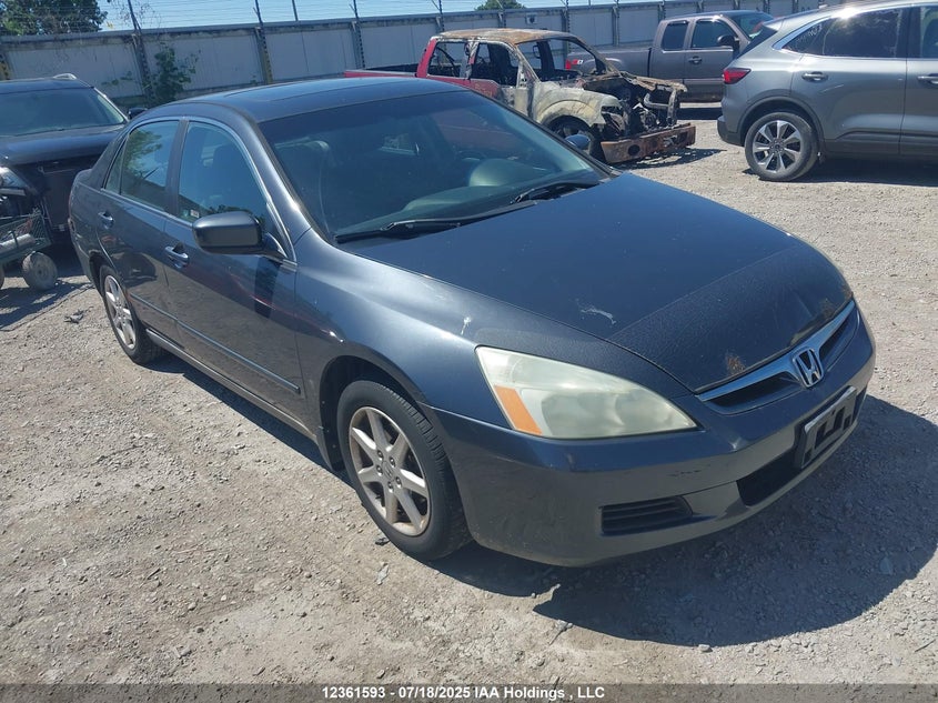 1HGCM56366A804310 2006 Honda Accord Se auction photo 1