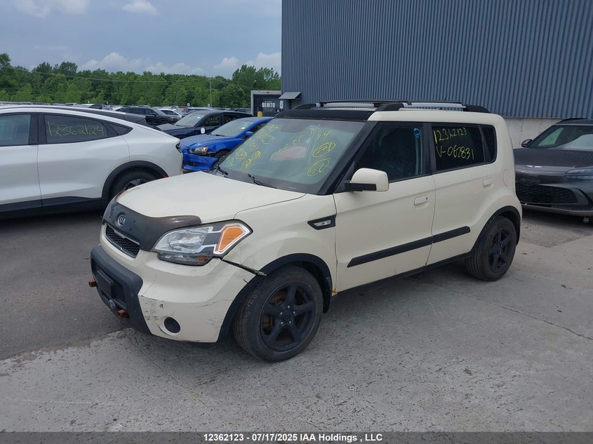 2010 Kia Soul VIN: KNDJT2A2XA7062831 Lot: 12362123