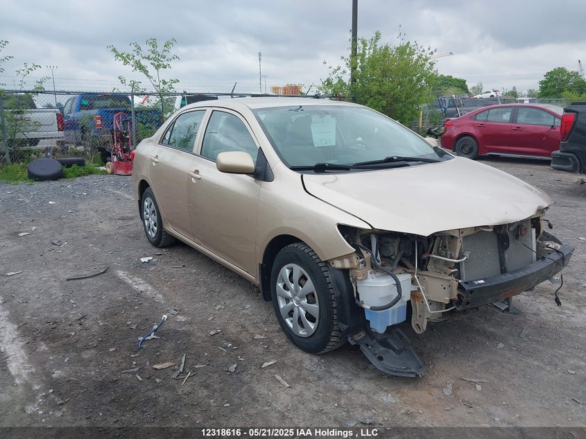 2T1BU4EE3CC902418 2012 Toyota Corolla Ce auction photo 1