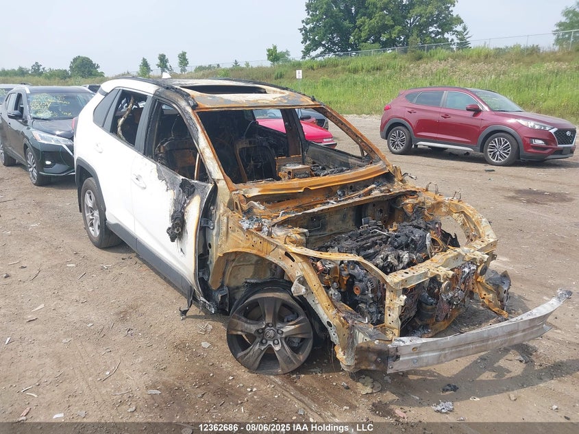 2T3R1RFV2PC371860 2023 Toyota Rav4 Xle auction photo 1