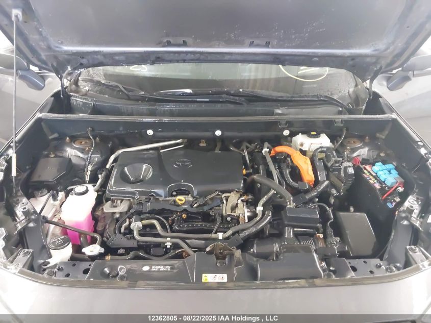 2019 Toyota Rav4 Xle/Xse VIN: 2T3RWRFV2KW044948 Lot: 12362805