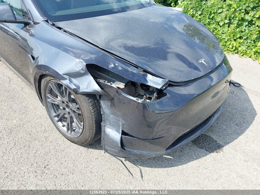 7SAYGDED2SF264619 2025 TESLA MODEL Y photo no. 6