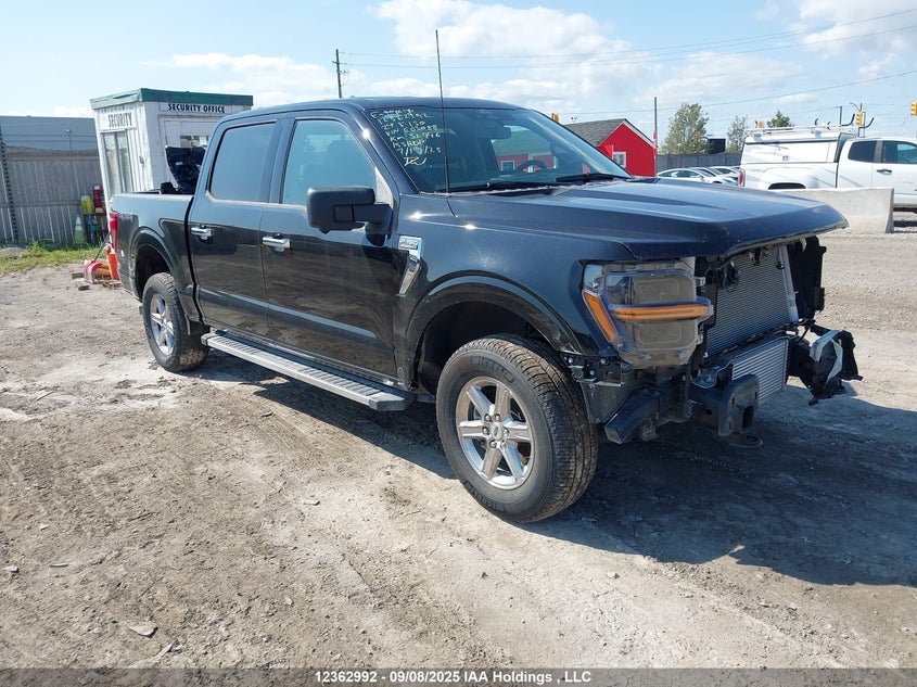 1FTFW3L88RKE03088 2024 Ford F150 Xlt auction photo 1