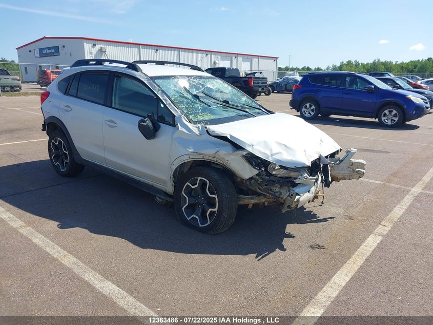 2013 Subaru Xv Crosstrek 2.0 Premium VIN: JF2GPACC0DH204991 Lot: 12363486