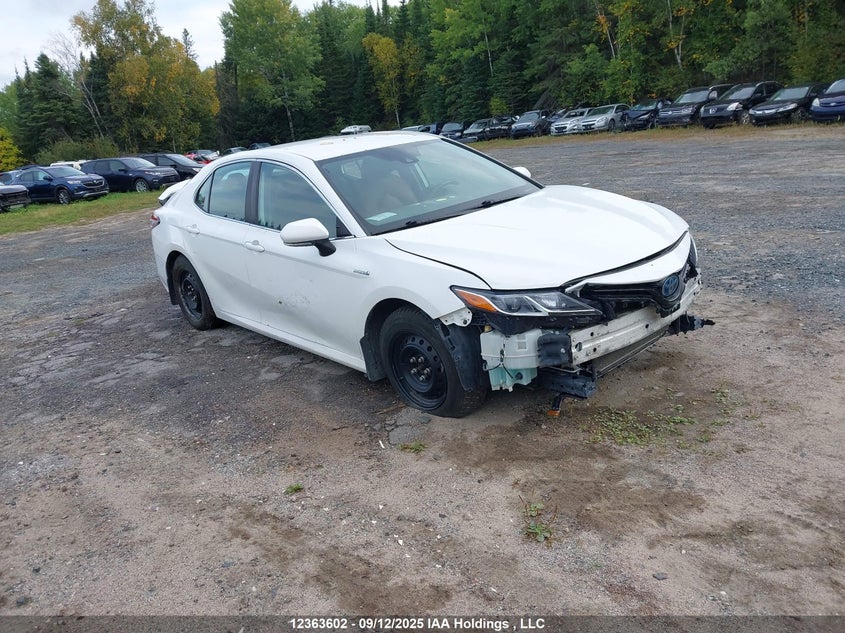 4T1C31AK5LU013782 2020 Toyota Camry auction photo 1