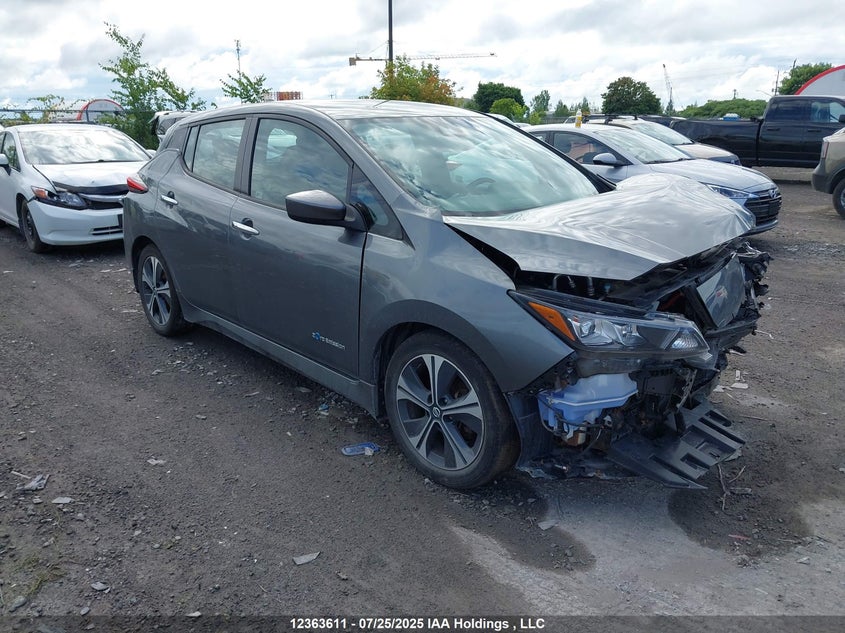 2019 Nissan Leaf VIN: 1N4AZ1CP2KC315494 Lot: 12363611