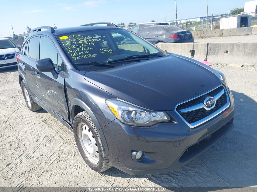 2014 Subaru Xv Crosstrek 2.0 Premium VIN: JF2GPAVC1E8204044 Lot: 12363616