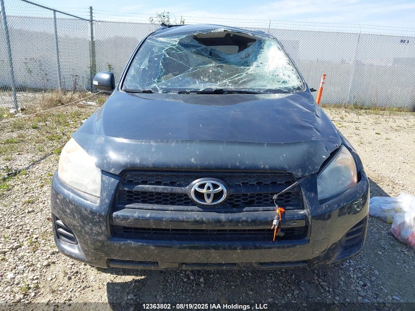 2011 Toyota Rav4 VIN: 2T3BF4DV0BW136101 Lot: 12363802