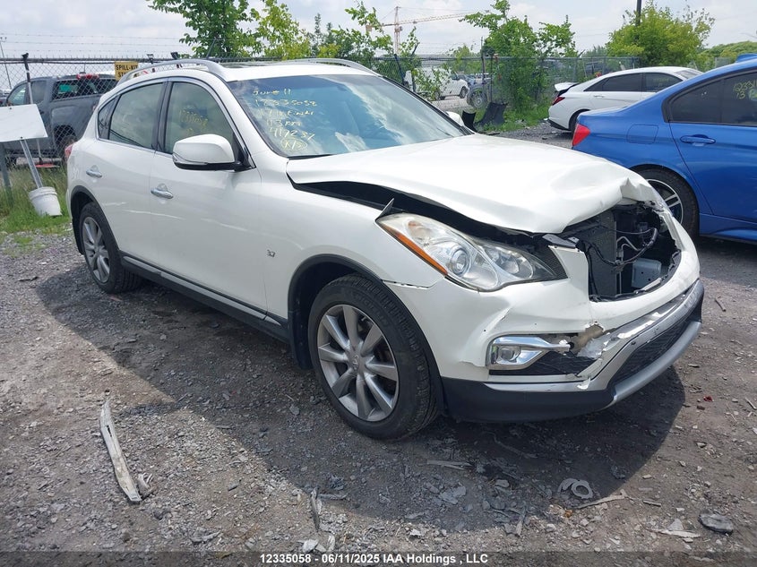 JN1BJ0RR1HM417237 2017 Infiniti Qx50 auction photo 1
