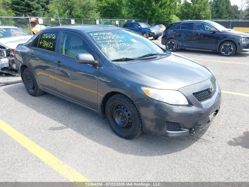 TOYOTA COROLLA S/LE/XLE