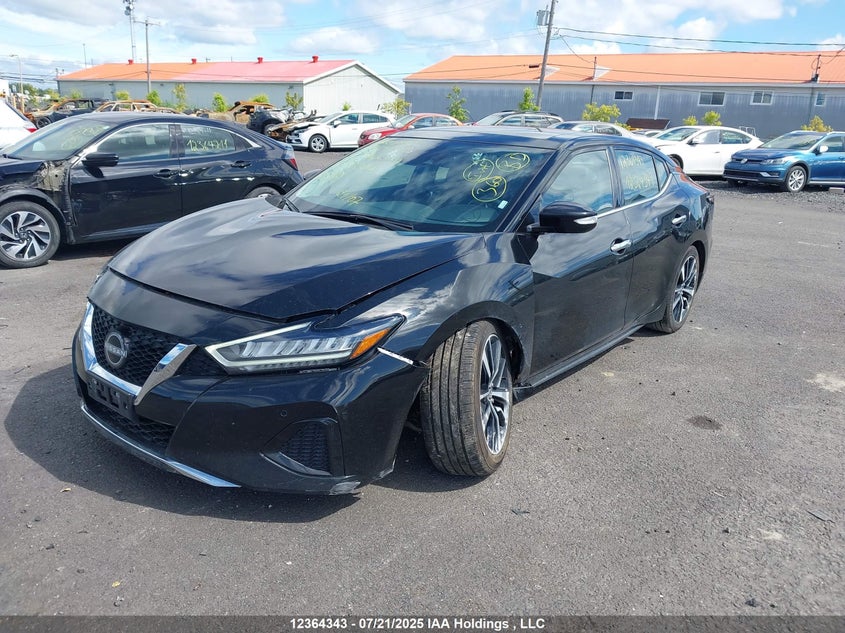 2023 Nissan Maxima Sl VIN: 1N4AA6DV2PC510309 Lot: 12364343